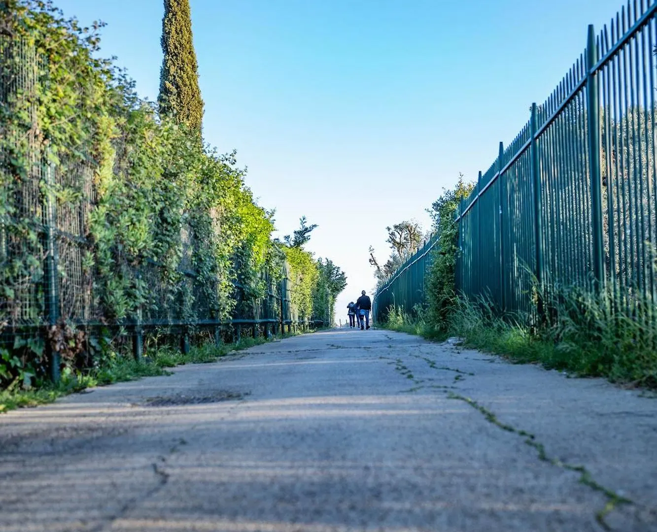 Holidays In Rome At Luigi'S Italy